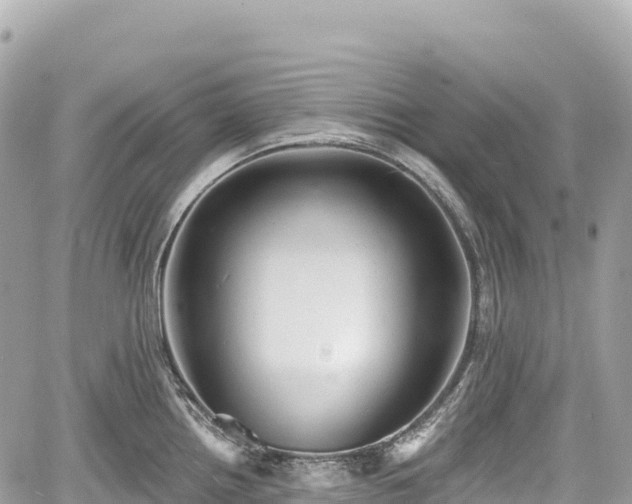 X0000059041242200510101002