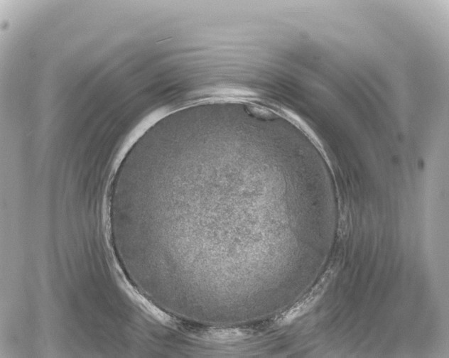 X0000059041243200510101002