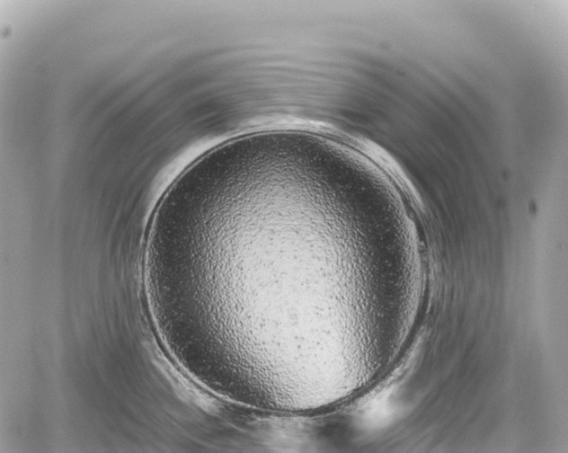 X0000059041244200510101002