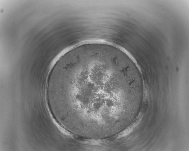 X0000059041245200510101002