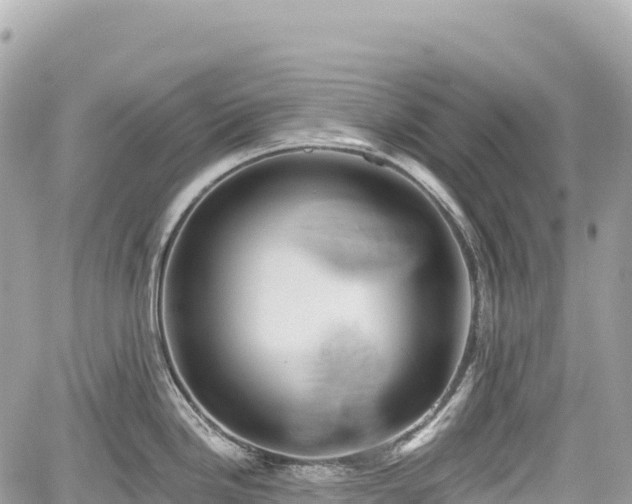 X0000059041246200510101002