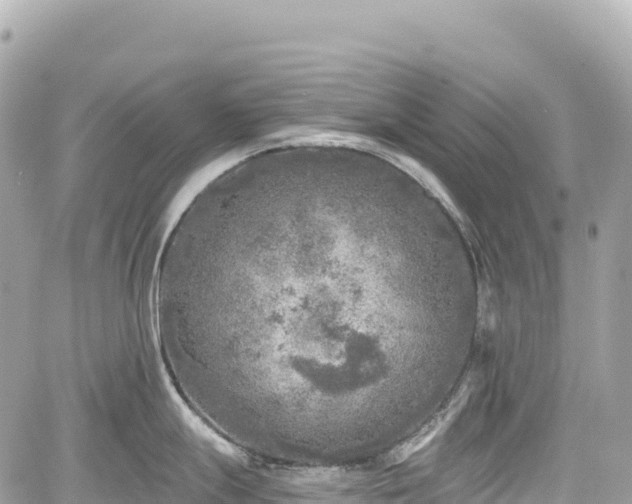 X0000059041247200510101002