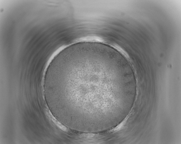 X0000059041248200510101002