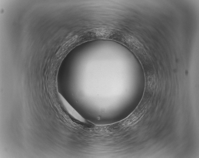 X0000059041249200510101001