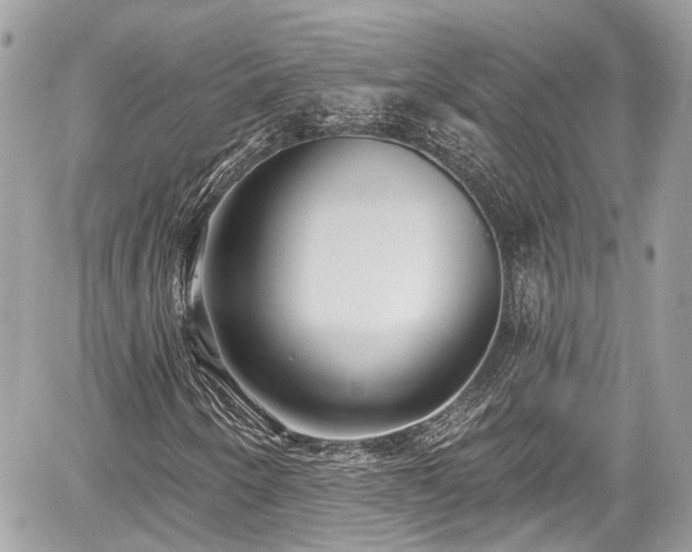 X0000059041250200510101001