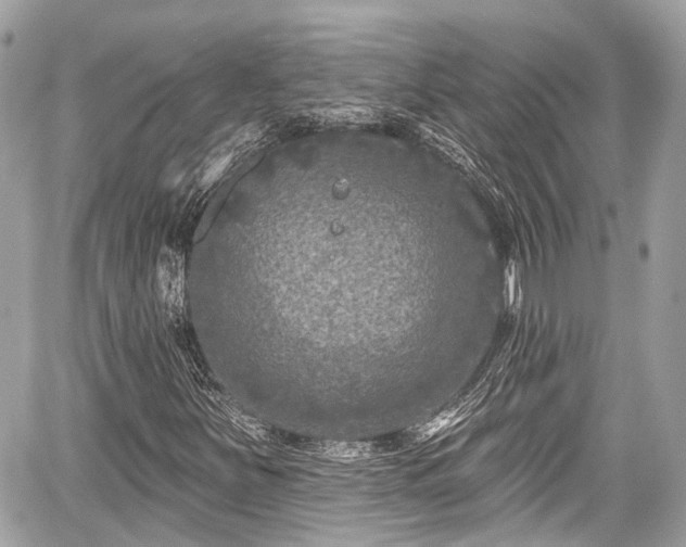 X0000059041251200510101001