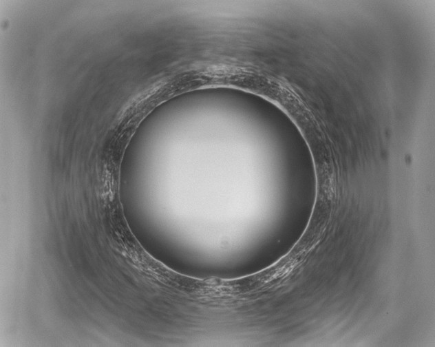 X0000059041253200510101001