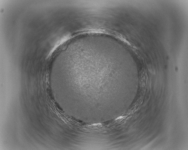 X0000059041255200510101001