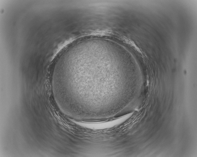 X0000059041256200510101001