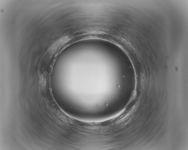 X0000059041257200510101001