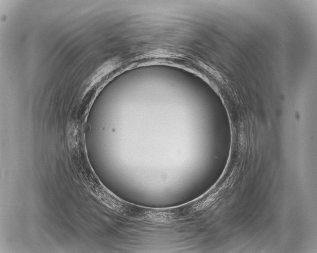 X0000059041258200510101001