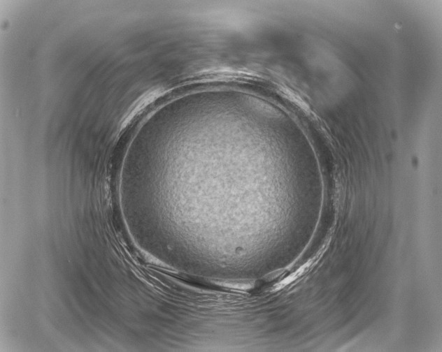 X0000059041259200510101001