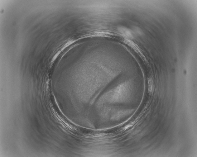 X0000059041260200510101001