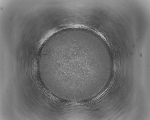 X0000059041263200510101001