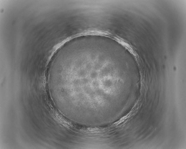 X0000059041264200510101001