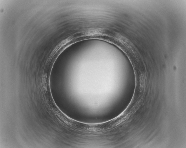 X0000059041265200510101001