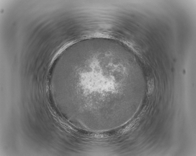 X0000059041266200510101001