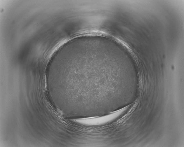 X0000059041267200510101001