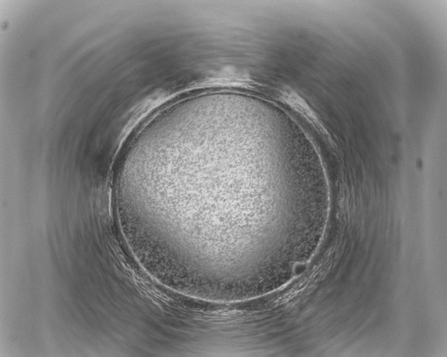 X0000059041268200510101001