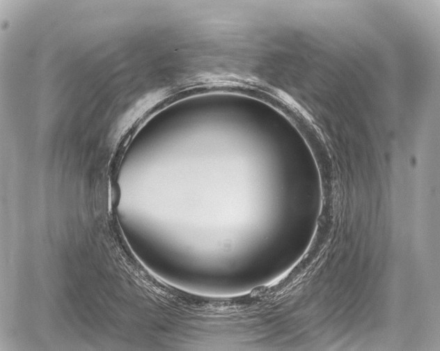 X0000059041269200510101000