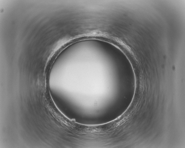 X0000059041270200510101000