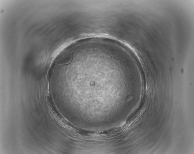 X0000059041271200510101000