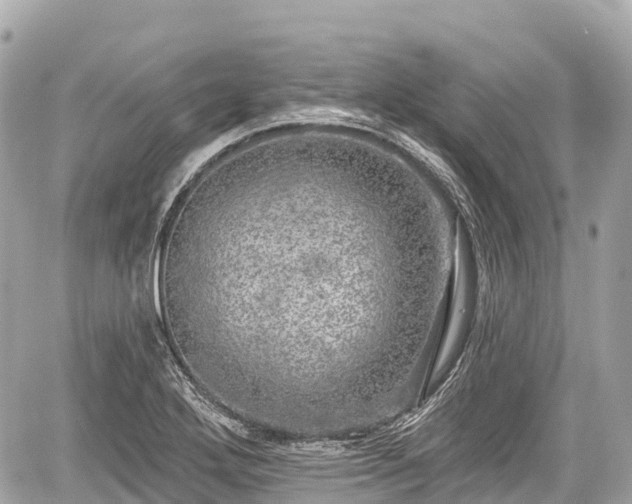 X0000059041272200510101000