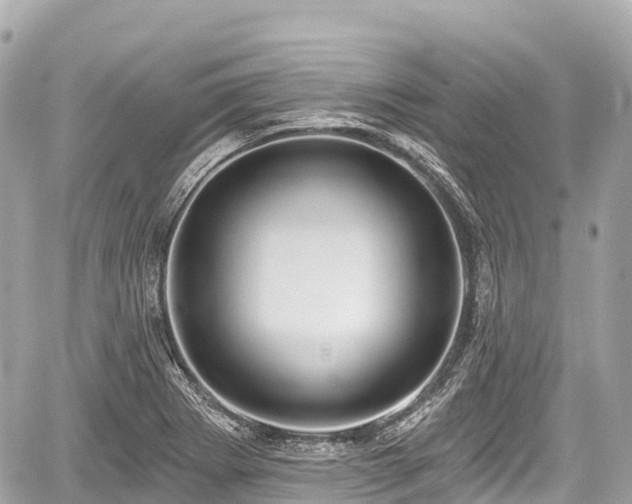 X0000059041273200510101000