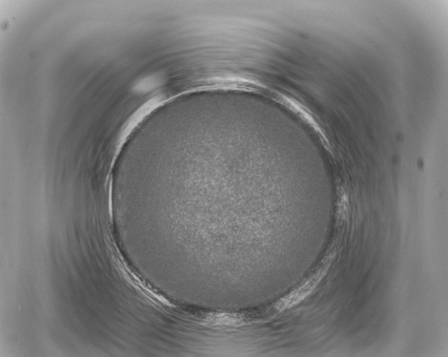 X0000059041275200510101000