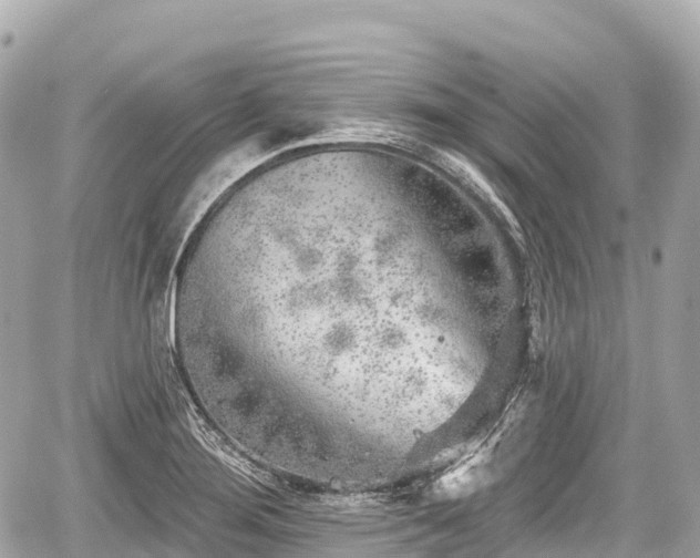 X0000059041276200510101000