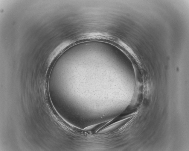 X0000059041277200510101000