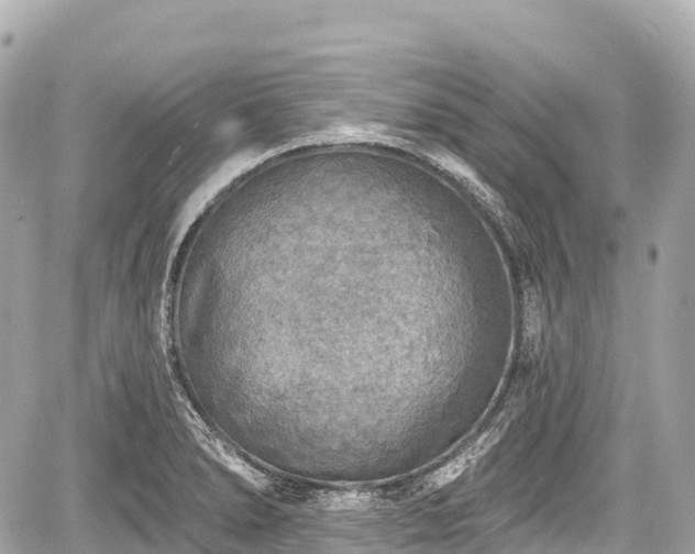 X0000059041278200510101000