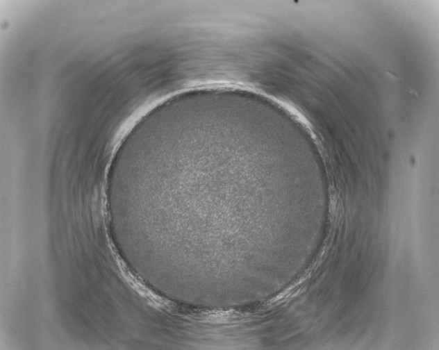 X0000059041279200510101000