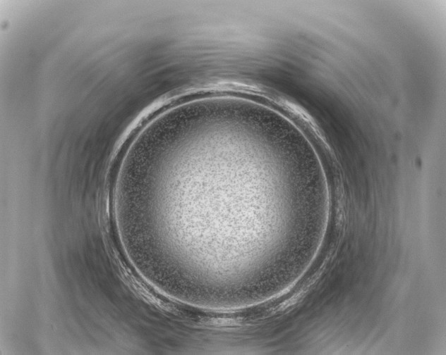 X0000059041280200510101000