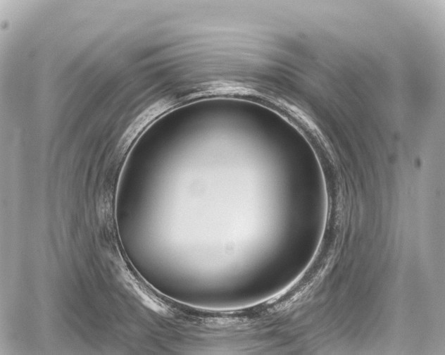 X0000059041281200510101000