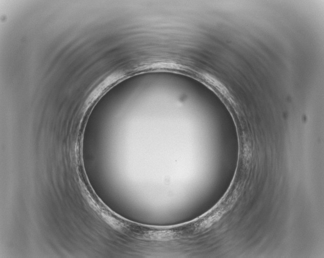 X0000059041282200510101000