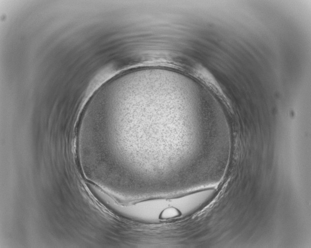 X0000059041284200510101000