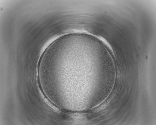 X0000059041287200510101000