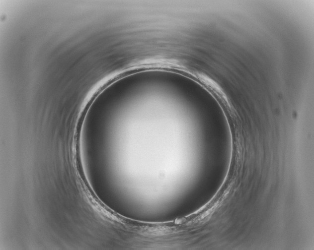 X0000059041288200510101000