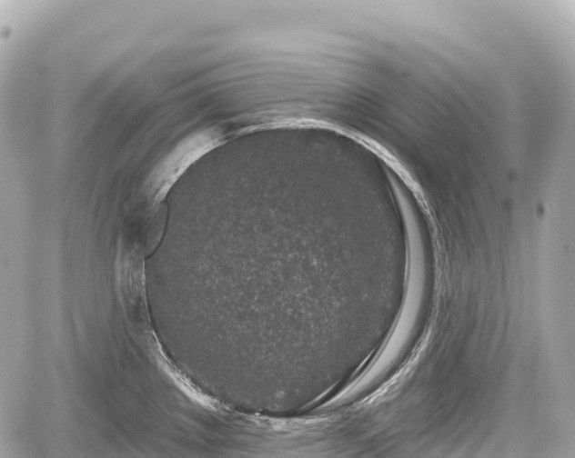 X0000059041289200510101000