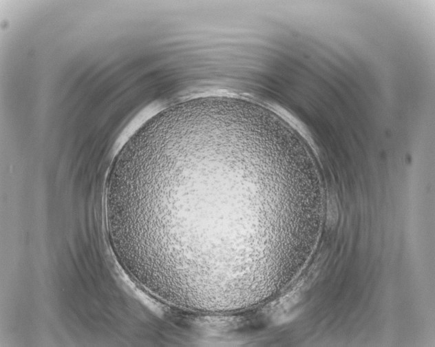 X0000059041290200510101000