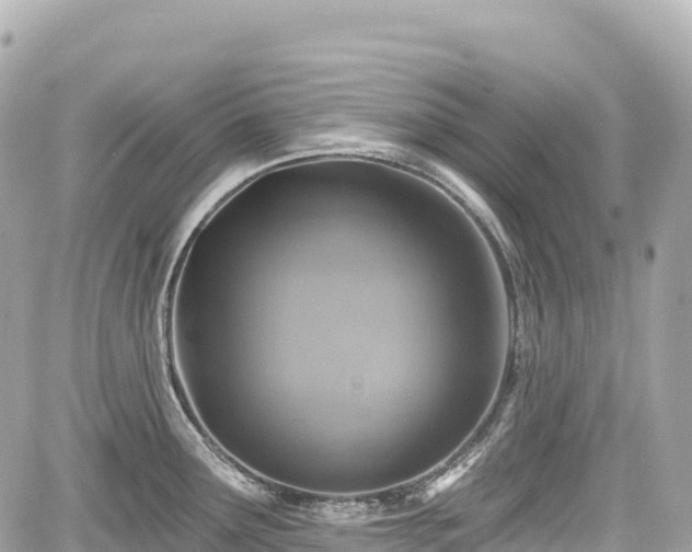 X0000059041291200510101000