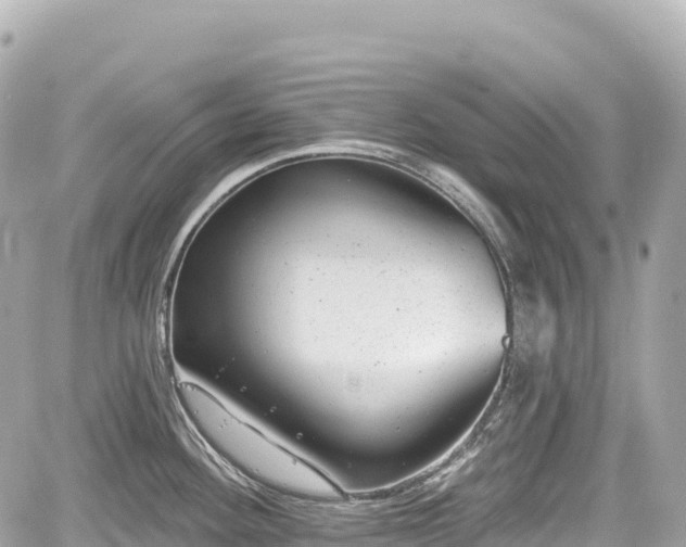 X0000059041292200510101000