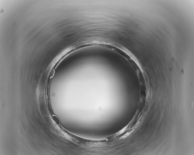 X0000059041293200510101000