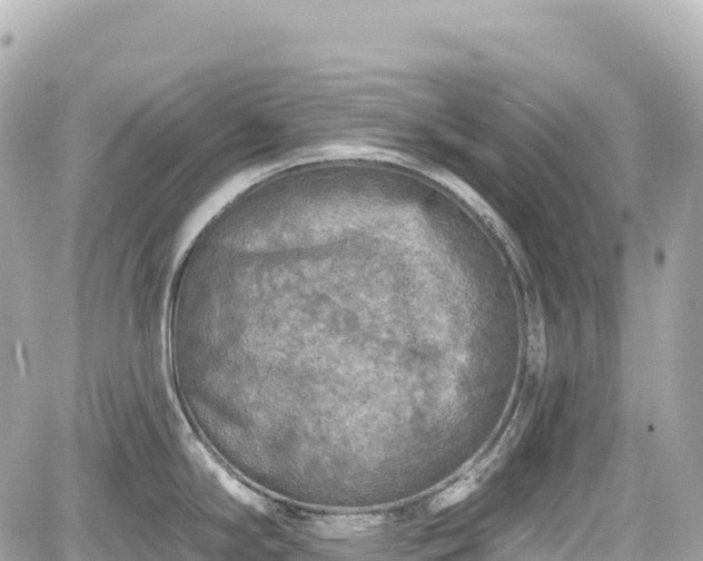 X0000059041294200510101000