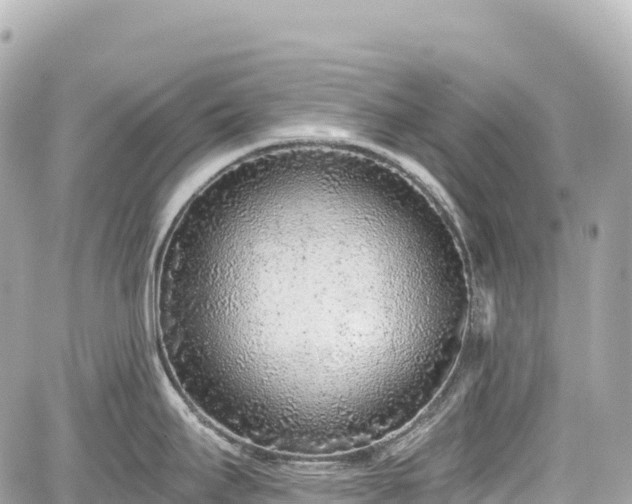 X0000059041295200510101000