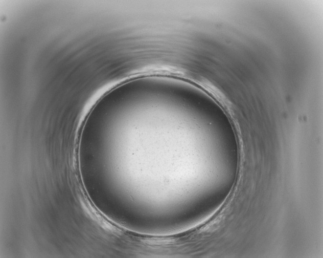 X0000059041296200510101000