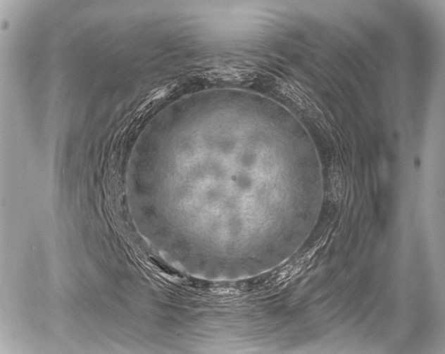 X0000059041297200510100959