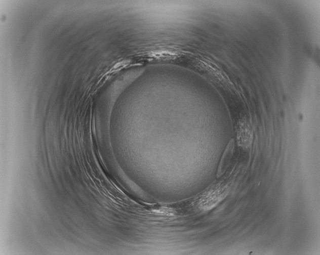 X0000059041298200510100959