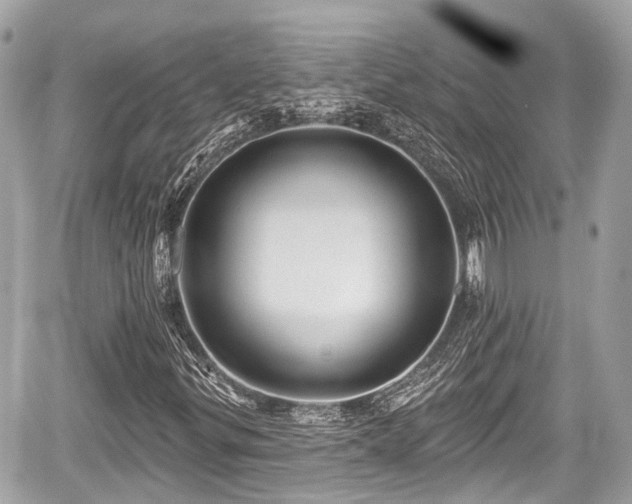 X0000059041299200510100959